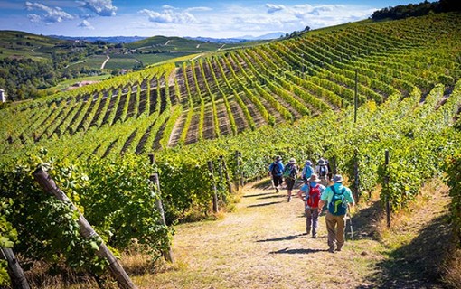 Dalla Regione 9,2 milioni per la promozione dei vini piemontesi nei paesi terzi