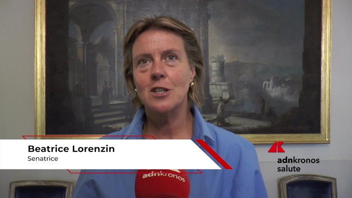Farmaci: Lorenzin (Pd), 'sistema protegga industrie, università e ricerca Made in Italy' Farmaci: Lorenzin (Pd), 'sistema protegga industrie, università e ricerca Made in Italy'
