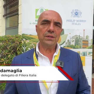 Tabacco, Scordamaglia (Filiera Italia): "Con accordo di filiera 9.800 occupati in Veneto"