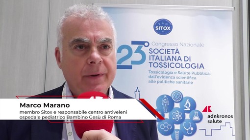 Estate: tossicologo Marano, 'morso di vipera raro, ma pericoloso per i bambini' Estate: tossicologo Marano, 'morso di vipera raro, ma pericoloso per i bambini'