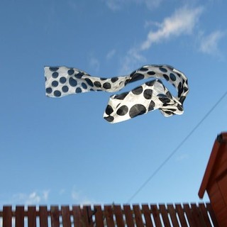 Vento forte in arrivo sul Piemonte: raffiche fino a 120 km/h sulle Alpi