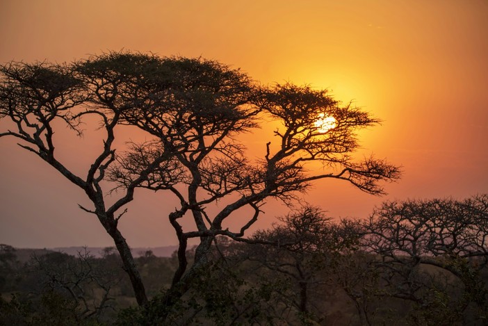 Dal Serengeti al Kalahari: Le Aree Protette Africane Che Ogni Viaggiatore Sogna di Visitare Dal Serengeti al Kalahari: Le Aree Protette Africane Che Ogni Viaggiatore Sogna di Visitare