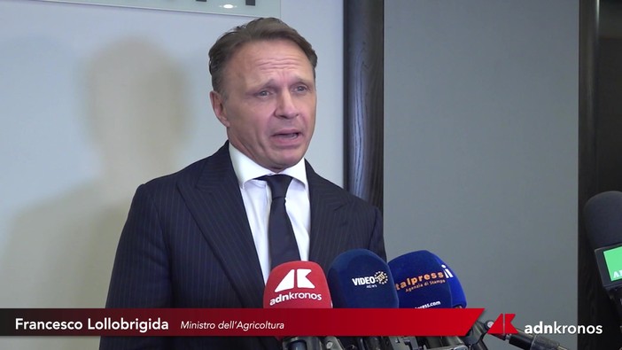 Agricoltura, Lollobrigida: "L'UE cambi passo su competitività e fondi, difesi 9 miliardi per l'Italia"