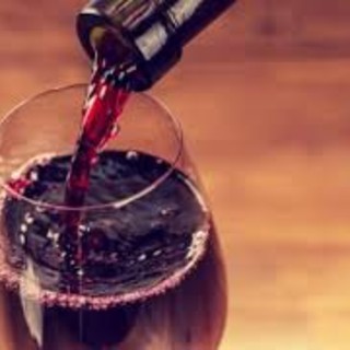 “Le vigne del Mottarone”: ad Arona un viaggio tra storia, cultura e vino del territorio