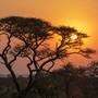 Dal Serengeti al Kalahari: Le Aree Protette Africane Che Ogni Viaggiatore Sogna di Visitare