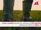 Agroindustria, Cuneo lancia Tra_in: formazione, imprese e filiere integrate Agroindustria, Cuneo lancia Tra_in: formazione, imprese e filiere integrate