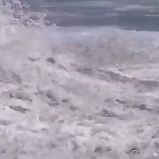 Il baby baywatch e il salvataggio eroico tra le onde del Pacifico