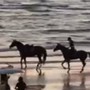 Paura per Belen Rodriguez, rovinosa caduta da cavallo sulla spiaggia