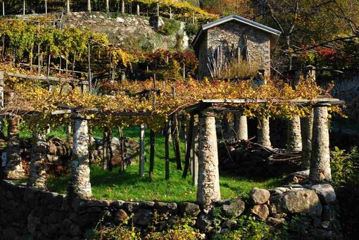 Muretti a secco, dal Piemonte un segnale atteso da anni: Uncem, “Finalmente ascoltato il nostro appello” Muretti a secco, dal Piemonte un segnale atteso da anni: Uncem, “Finalmente ascoltato il nostro appello”