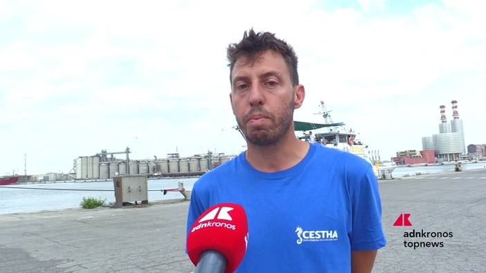 Ambiente, CESTHA: tre tartarughe marine tornano in libertà alla Festa della Cozza Selvaggia