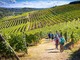 Dalla Regione 9,2 milioni per la promozione dei vini piemontesi nei paesi terzi