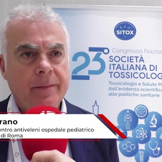 Estate: tossicologo Marano, 'morso di vipera raro, ma pericoloso per i bambini' Estate: tossicologo Marano, 'morso di vipera raro, ma pericoloso per i bambini'