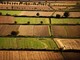 Banca nazionale delle Terre Agricole (Bta), al via nona edizione: in vendita 8.863 ettari per un valore di oltre 121 milioni di euro Banca nazionale delle Terre Agricole (Bta), al via nona edizione: in vendita 8.863 ettari per un valore di oltre 121 milioni di euro
