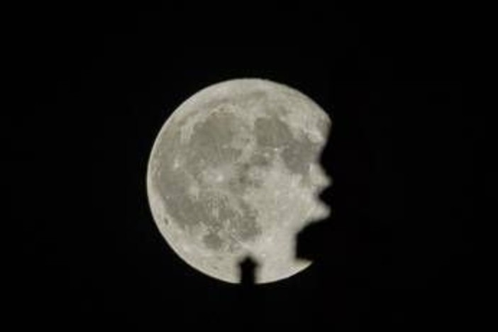 Superluna Novembre 2025: la Luna del Castoro più grande e luminosa degli ultimi 6 anni Superluna Novembre 2025: la Luna del Castoro più grande e luminosa degli ultimi 6 anni