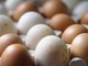 Rischio salmonella, ritirato lotto di uova Selex Rischio salmonella, ritirato lotto di uova Selex