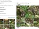 Cucciolo di ocelot al Parco Faunistico La Torbiera, il lieto evento vola sul web Cucciolo di ocelot al Parco Faunistico La Torbiera, il lieto evento vola sul web