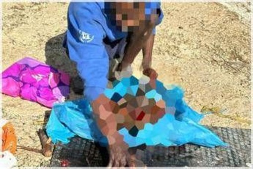 Orrore a Sezze, uccide e seziona un cane: guardie zoofile filmano tutto Orrore a Sezze, uccide e seziona un cane: guardie zoofile filmano tutto