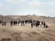 Dall’Italia arrivato nuovo carico di aiuti “Food for Gaza”