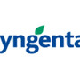 La chimica italiana ai vertici mondiali, American Chemical Society premia Camilla Corsi di Syngenta