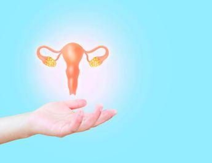 Cancro ovaio, si apre nuovo scenario con mix immunoterapia-chemio Cancro ovaio, si apre nuovo scenario con mix immunoterapia-chemio