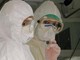 Virus Shamonda, Lopalco: "È favorito da crisi climatica, svegliamoci"