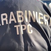 Scavi clandestini e ricettazione beni archeologici, 56 misure cautelari Scavi clandestini e ricettazione beni archeologici, 56 misure cautelari