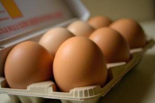 Uova biologiche o allevate a terra: ecco i consigli per orientarsi tra etichette Uova biologiche o allevate a terra: ecco i consigli per orientarsi tra etichette