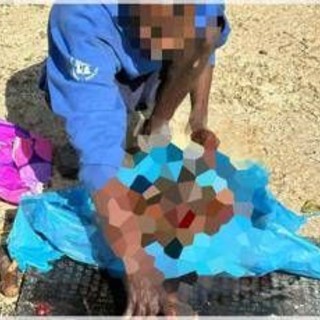 Orrore a Sezze, uccide e seziona un cane: guardie zoofile filmano tutto Orrore a Sezze, uccide e seziona un cane: guardie zoofile filmano tutto