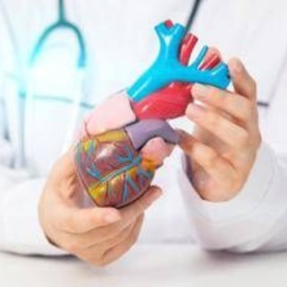 Salute, 'Un cuore grande': a Giffoni il primo docufilm sulle cardiomiopatie