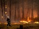 Incendi "mostruosi" in Francia e Spagna, oltre 325mila evacuati. In arrivo ondata di caldo ancora più intensa