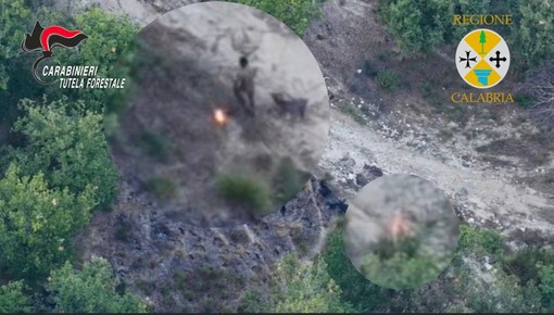 Sorpreso dal drone a incendiare bosco, arrestato allevatore nel vibonese Sorpreso dal drone a incendiare bosco, arrestato allevatore nel vibonese