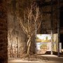 Sostenibilità, Gruppo Saviola: Pannelli Ecologici per Triennale Milano e Biennale Architettura