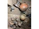 Incredibile scoperta della missione archeologica di Virgil Academy a Barbarano Romano (Vt)