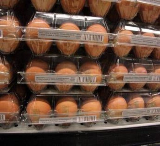 Quanti errori in cucina, dal frigo all'igiene: il decalogo dell'Iss per pasti sicuri Quanti errori in cucina, dal frigo all'igiene: il decalogo dell'Iss per pasti sicuri