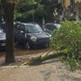 Maltempo a Roma, ramo cade fuori liceo a Coppedè: feriti 3 studenti Maltempo a Roma, ramo cade fuori liceo a Coppedè: feriti 3 studenti