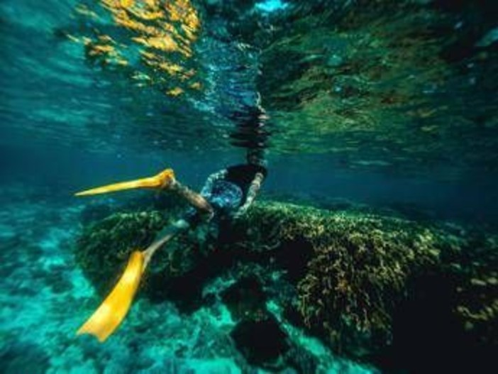 Italiani morti alle Maldive durante immersione, lo pneumologo: "Con concentrazioni elevate l’ossigeno diventa tossico" Italiani morti alle Maldive durante immersione, lo pneumologo: "Con concentrazioni elevate l’ossigeno diventa tossico"