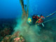 GhostNets: rimosse 3 tonnellate di reti fantasma dai fondali siciliani
