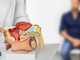 Cancro alla prostata, apalutamide con terapia ormonale riduce del 62% rischio di recidiva o morte Cancro alla prostata, apalutamide con terapia ormonale riduce del 62% rischio di recidiva o morte