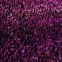 Concerto Radio Italia, stasera 27 giugno a Palermo: cantanti, scaletta, orari