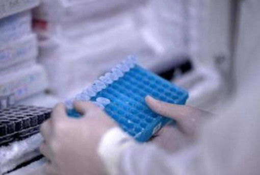 Ricerca, Rizzuto: &quot;In Italia studi su Rna e terapie geniche per cure personalizzate&quot;