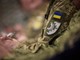 Ucraina-Russia, Kiev e le armi Usa: cosa cambia ora? L'analisi