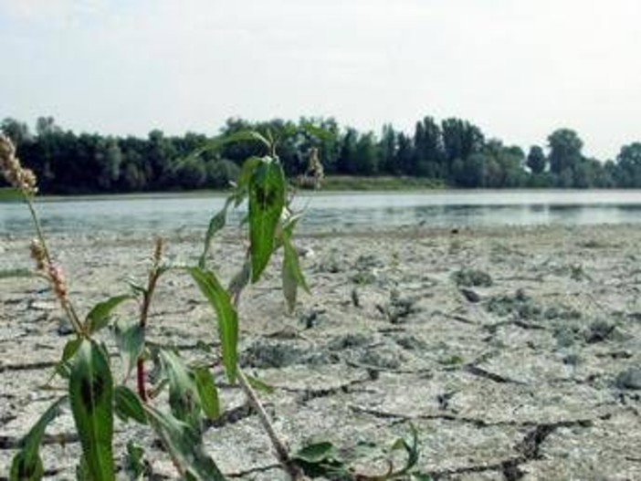 Agosto mese più caldo mai registrato, estate più rovente di sempre per l'Europa occidentale