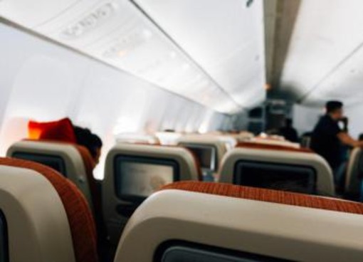 Invasione di zanzare sul volo Milano-Alicante, passeggeri costretti a cambiare aereo Invasione di zanzare sul volo Milano-Alicante, passeggeri costretti a cambiare aereo
