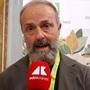 Tabacco, Masiello (Coldiretti): "Regole non devono ammazzare la filiera"