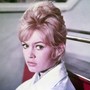 Scomparsa a 91 anni Brigitte Bardot, dal cinema alla difesa degli animali