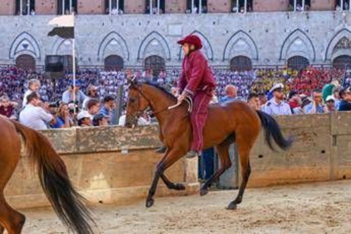 Palio Siena, la Contrada della Torre vince la quarta prova