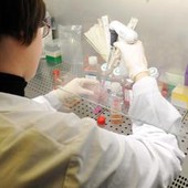 Medicina di laboratorio al top in Italia, Sibioc: "Nostri esperti riconosciuti tra eccellenze internazionali" Medicina di laboratorio al top in Italia, Sibioc: "Nostri esperti riconosciuti tra eccellenze internazionali"