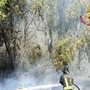 Incendio a Roma ovest, rogo di sterpaglie minaccia case e negozi