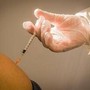 Vaccini, HappyAgeing: per anziani documento su sistema equo, efficiente sostenibile