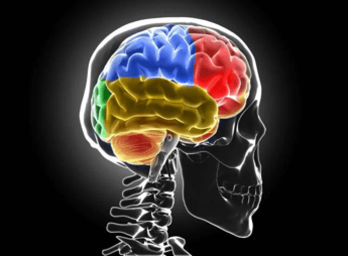 Sclerosi multipla, Bandiera (Aism): &quot;Caregiver fondamentali ma ancora invisibili&quot;